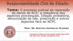 Responsabilidade Civil do Estado Tema O processo judicial