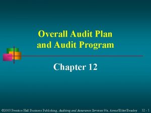 Overall Audit Plan and Audit Program Chapter 12