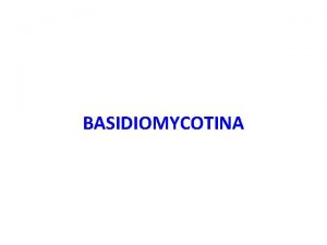 BASIDIOMYCOTINA Basidiomycontina Characterization Septate mycelium Production of exogenous