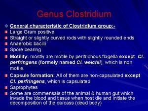 Genus Clostridium v General characteristic of Clostridium group