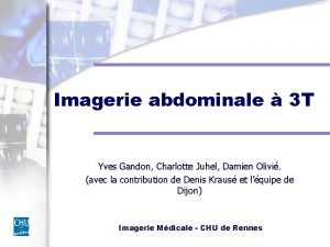 Imagerie abdominale 3 T Yves Gandon Charlotte Juhel