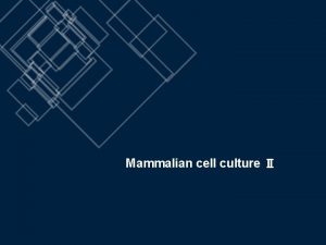 Mammalian cell culture Cell counting 02 Introduction Hemocytometer