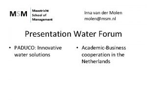 MSM Maastricht School of Management Irna van der