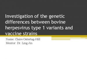 Investigation of the genetic differences between bovine herpesvirus