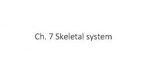 Ch 7 Skeletal system Skeletal SystemFunction Provides structure