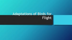 Adaptations of Birds for Flight Adaptations An adaptation