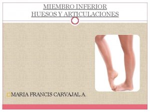 MIEMBRO INFERIOR HUESOS Y ARTICULACIONES MARIA FRANCIS CARVAJAL