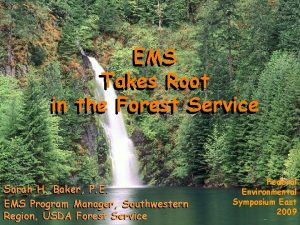 EMS Takes Root Takes in the Forest Service