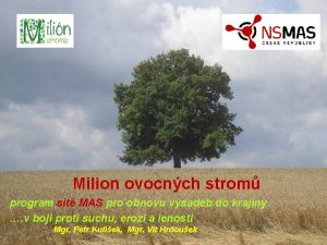 Milion ovocnch strom program st MAS pro obnovu