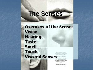 The Senses Overview of the Senses Vision Hearing