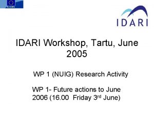 IDARI Workshop Tartu June 2005 WP 1 NUIG