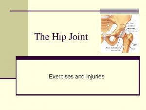 The Hip Joint Exercises and Injuries Exercises for