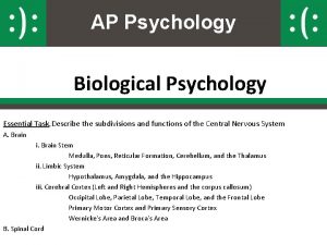 AP Psychology Biological Psychology Essential Task Describe the