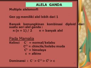 ALELA GANDA Multiple alelomorfi Gen yg memiliki alel