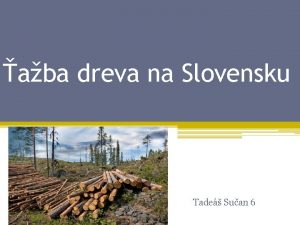 aba dreva na Slovensku Tade Suan 6 aba
