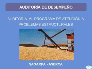 AUDITORA DE DESEMPEO AUDITORA AL PROGRAMA DE ATENCIN