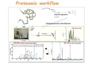 Proteomic workflow Trypsin MH 525 3144 615 3283