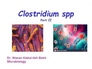 Clostridium spp Part II Dr Wasan Abdulilah Bakir