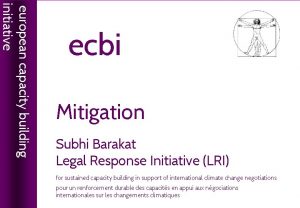 Mitigation Subhi Barakat Legal Response Initiative LRI european