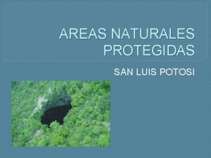 AREAS NATURALES PROTEGIDAS SAN LUIS POTOSI RESERVA FORESTAL
