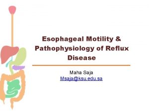 Esophageal Motility Pathophysiology of Reflux Disease Maha Saja