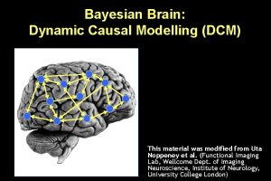 Bayesian Brain Dynamic Causal Modelling DCM This material