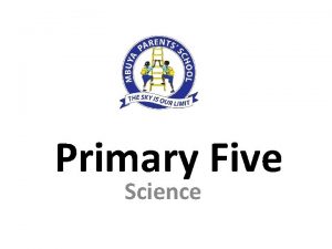 Primary Five Science Poultry Keeping Examples of poultry
