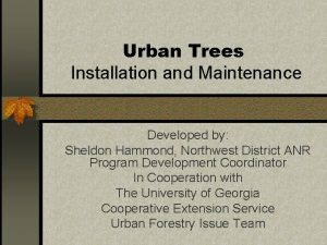 Urban Trees Installation and Maintenance Developed by Sheldon