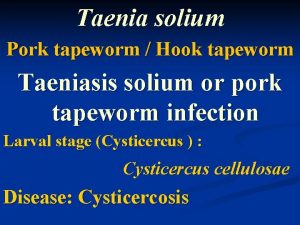 Taenia solium Pork tapeworm Hook tapeworm Taeniasis solium