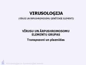 VIRUSOLOIJA VRUSI UN RPUSHROMOSOMU ENTISKIE ELEMENTI VRUSU UN