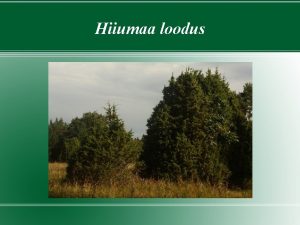 Hiiumaa loodus Hiiumaa kliima Hiiumaad iseloomustab soe suvi