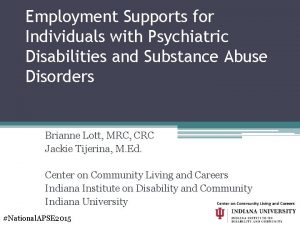 Employment Supports for Individuals with Psychiatric Disabilities and