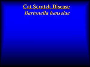 Cat Scratch Disease Bartonella henselae Bartonella Bartonella henselae