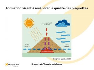 Formation visant amliorer la qualit des plaquettes Source