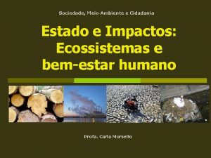 Sociedade Meio Ambiente e Cidadania Estado e Impactos