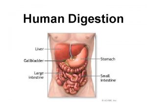 Human Digestion Nutrition Process by which organisms obtain