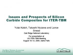 Issues and Prospects of Silicon Carbide Composites for