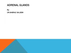 ADRENAL GLANDS By DR SHERAZ SALEEM ADRENAL GLANDS