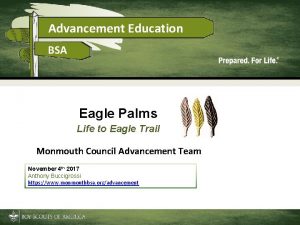 Advancement Education BSA Eagle Palms Life to Eagle