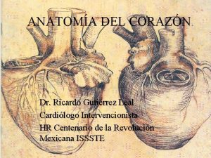 ANATOMA DEL CORAZN Dr Ricardo Gutirrez Leal Cardilogo