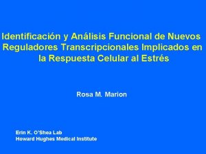 Identificacin y Anlisis Funcional de Nuevos Reguladores Transcripcionales