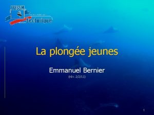 La plonge jeunes Emmanuel Bernier rv 2211 1