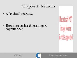 Chapter 2 Neurons A typical neuron How does