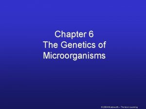 Chapter 6 The Genetics of Microorganisms 2004 Wadsworth