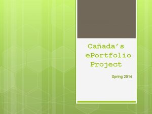 Caadas e Portfolio Project Spring 2014 What is