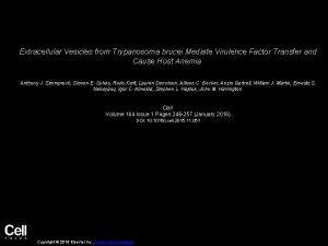 Extracellular Vesicles from Trypanosoma brucei Mediate Virulence Factor