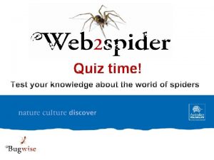 Quiz time True or False 1 Spiders belong