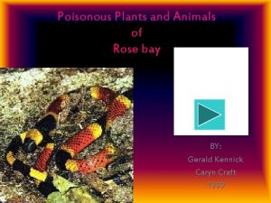 Poisonous Plants and Animals of Rose bay BY