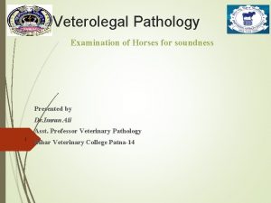 Veterolegal Pathology Examination of Horses for soundness Presented