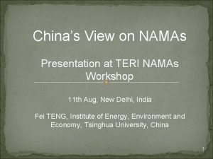 Chinas View on NAMAs Presentation at TERI NAMAs